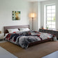 Smokey Scholars Astro Skelly Comforter - Smokey Scholars